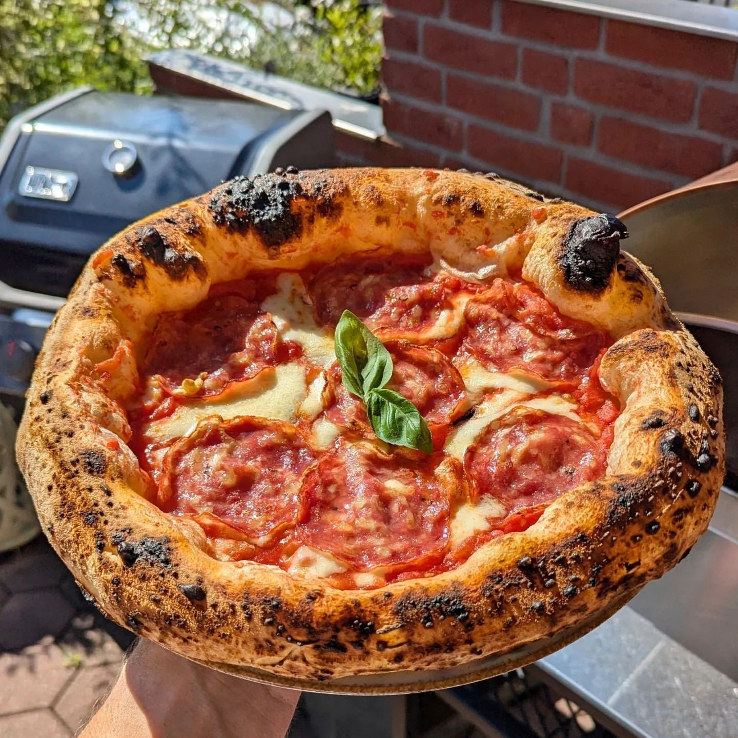 Horno de gas exterior Emozione grande para 2 pizzas "PLATA CLARA" 40x70 cm