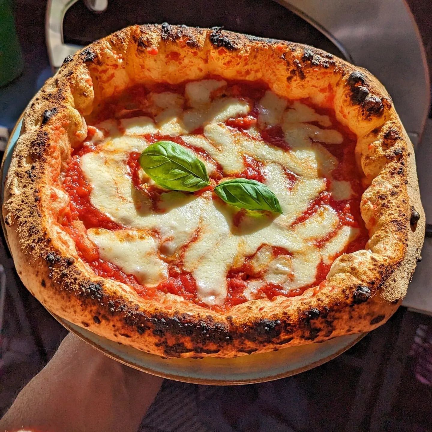 Horno de gas exterior Emozione grande para 2 pizzas "PLATA CLARA" 40x70 cm