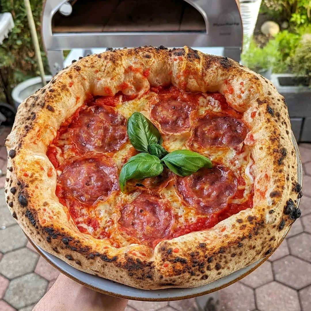 Horno de gas exterior Emozione grande para 2 pizzas "PLATA CLARA" 40x70 cm