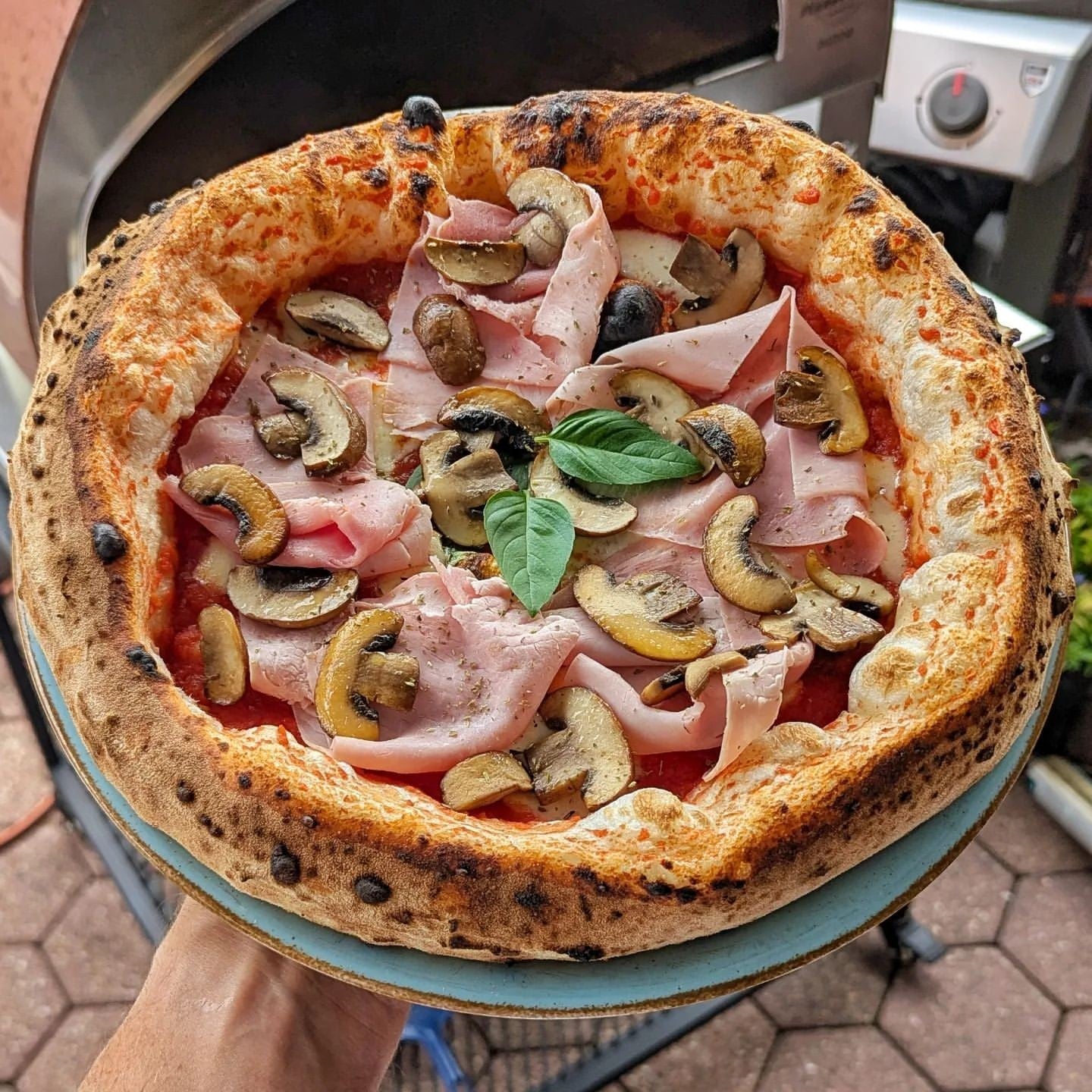Horno de gas exterior Emozione grande para 2 pizzas "PLATA CLARA" 40x70 cm