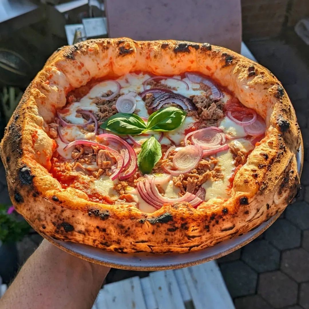 Horno de gas exterior Emozione grande para 2 pizzas "PLATA CLARA" 40x70 cm