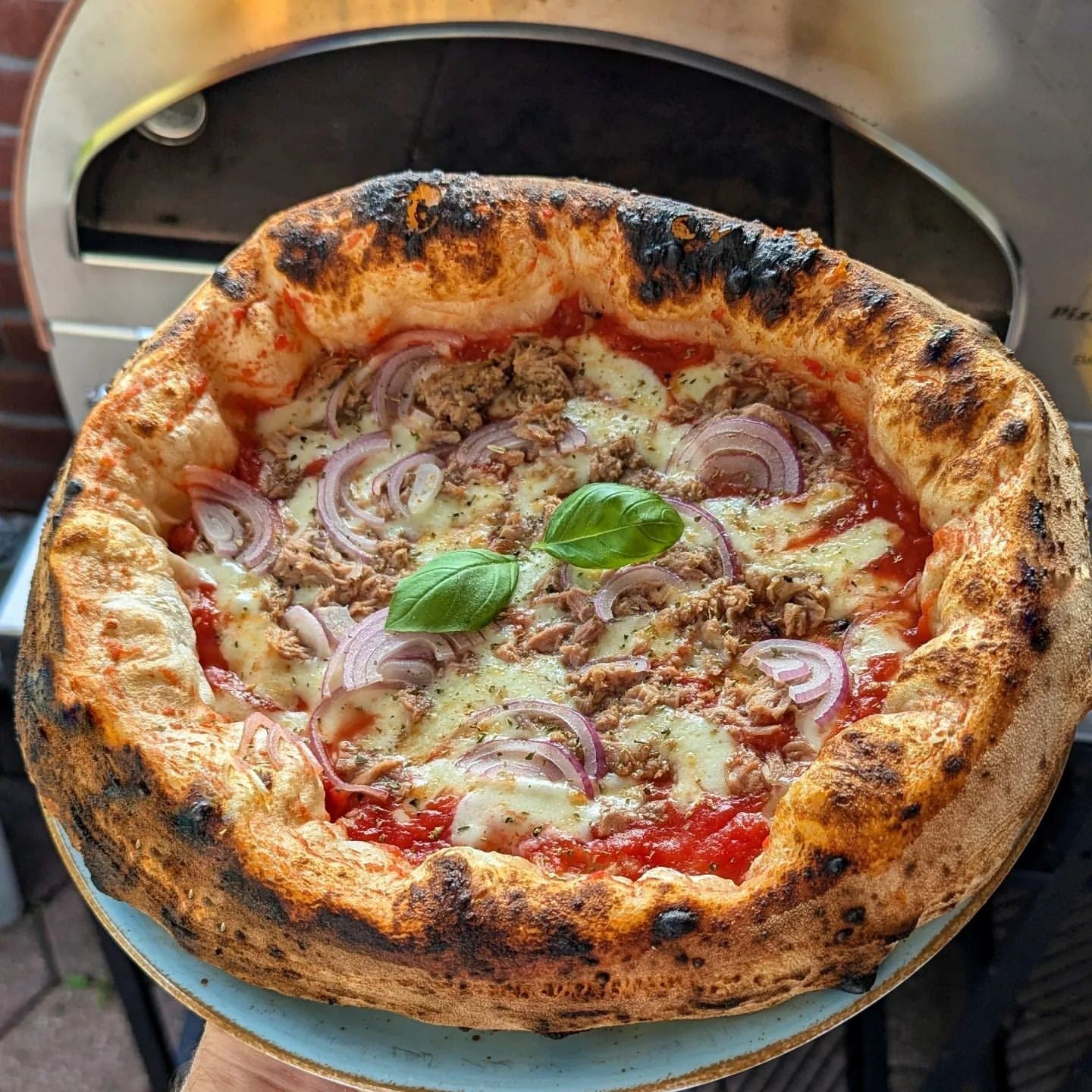 Horno de gas exterior Emozione grande para 2 pizzas "PLATA CLARA" 40x70 cm