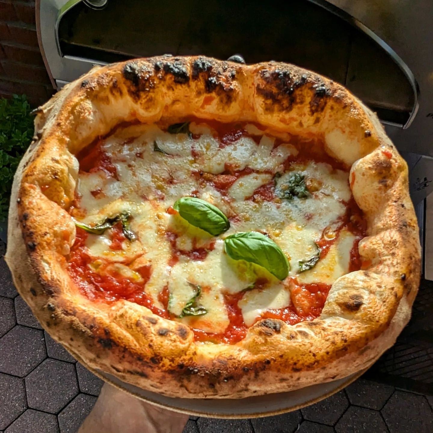 Horno de gas exterior Emozione grande para 2 pizzas "PLATA CLARA" 40x70 cm