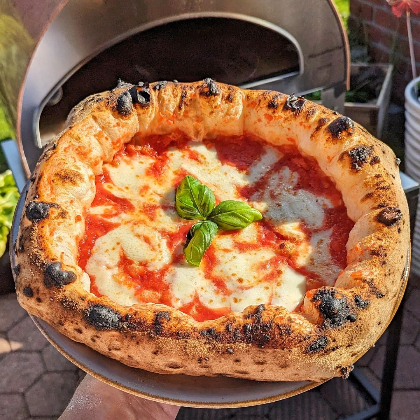 Horno de gas exterior Emozione grande para 2 pizzas "PLATA CLARA" 40x70 cm