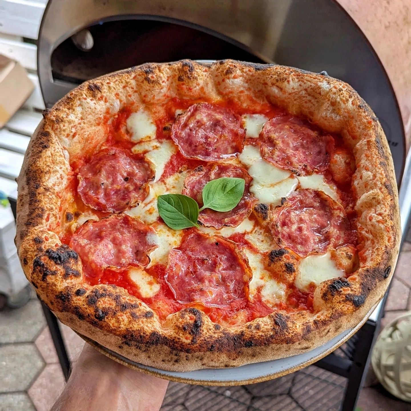 Horno de gas exterior Emozione grande para 2 pizzas "PLATA CLARA" 40x70 cm