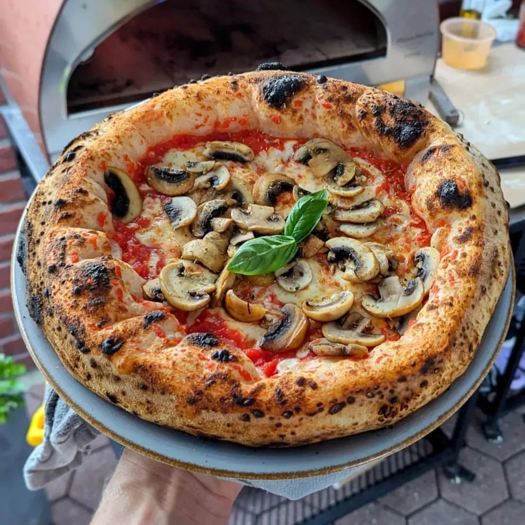 Horno de gas exterior Emozione grande para 2 pizzas "PLATA CLARA" 40x70 cm