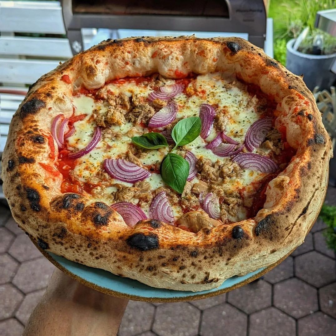 Horno de gas exterior Emozione grande para 2 pizzas "PLATA CLARA" 40x70 cm