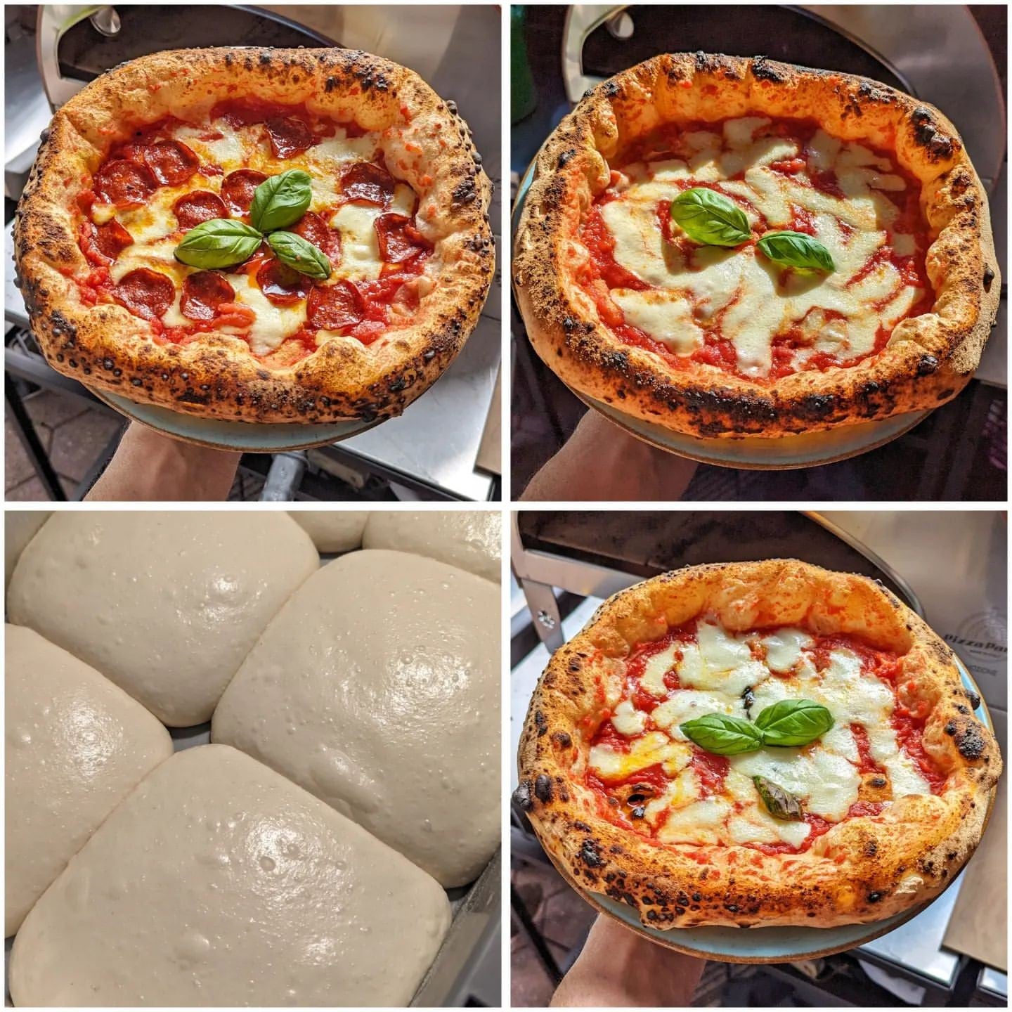 Horno de gas exterior Emozione grande para 2 pizzas "PLATA CLARA" 40x70 cm