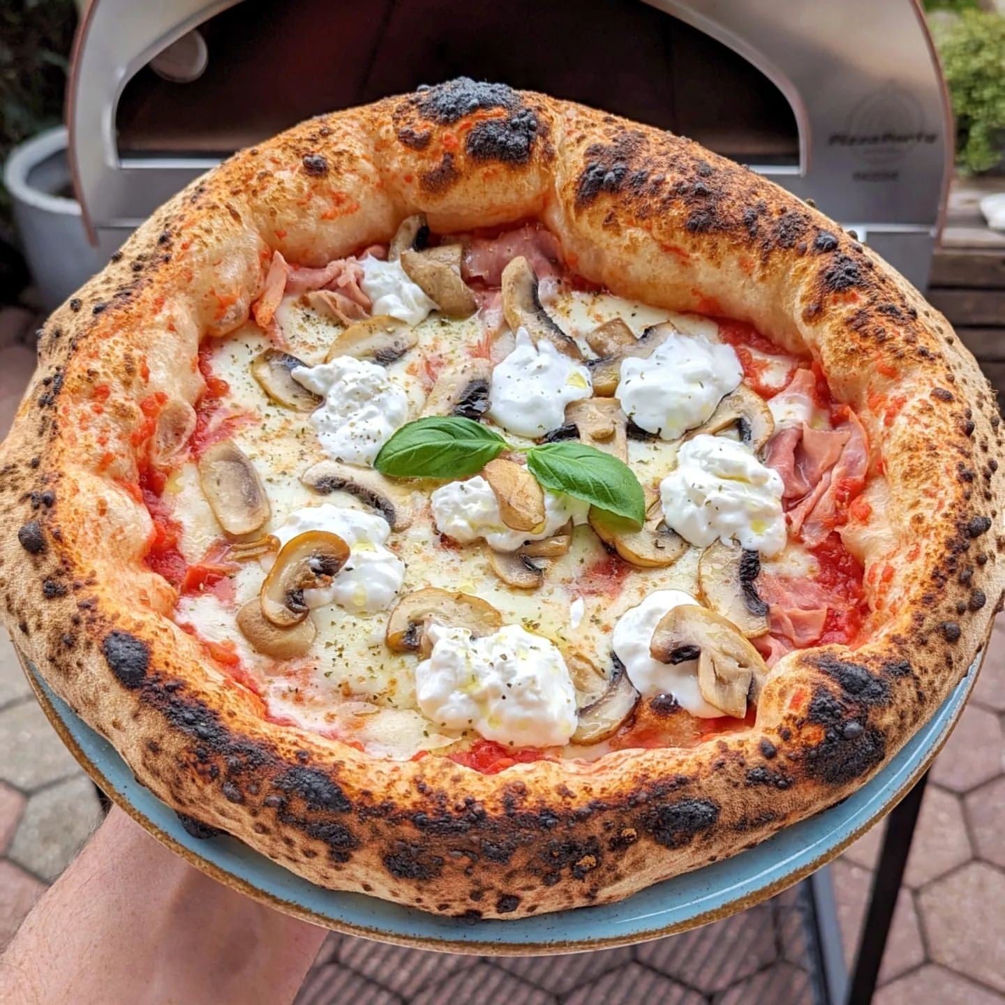 Horno de gas exterior Emozione grande para 2 pizzas "PLATA CLARA" 40x70 cm