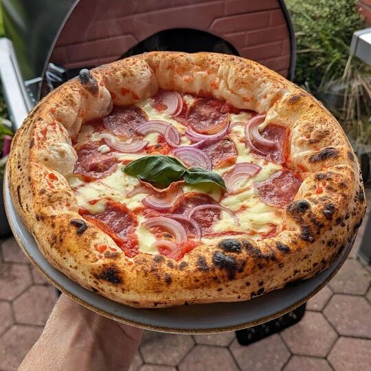 Horno de pizza exterior gas y leña Bollore 60x60cm híbrido
