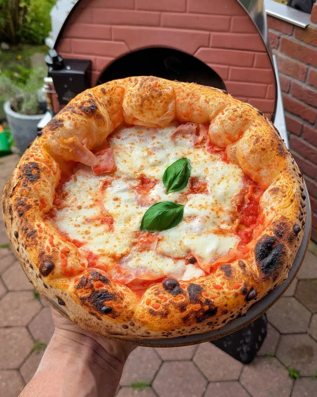 Horno de pizza exterior gas y leña Bollore 60x60cm híbrido