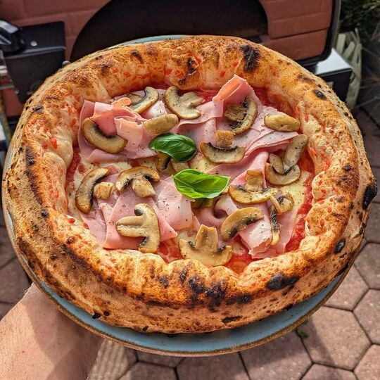 Horno de pizza exterior gas y leña Bollore 60x60cm híbrido