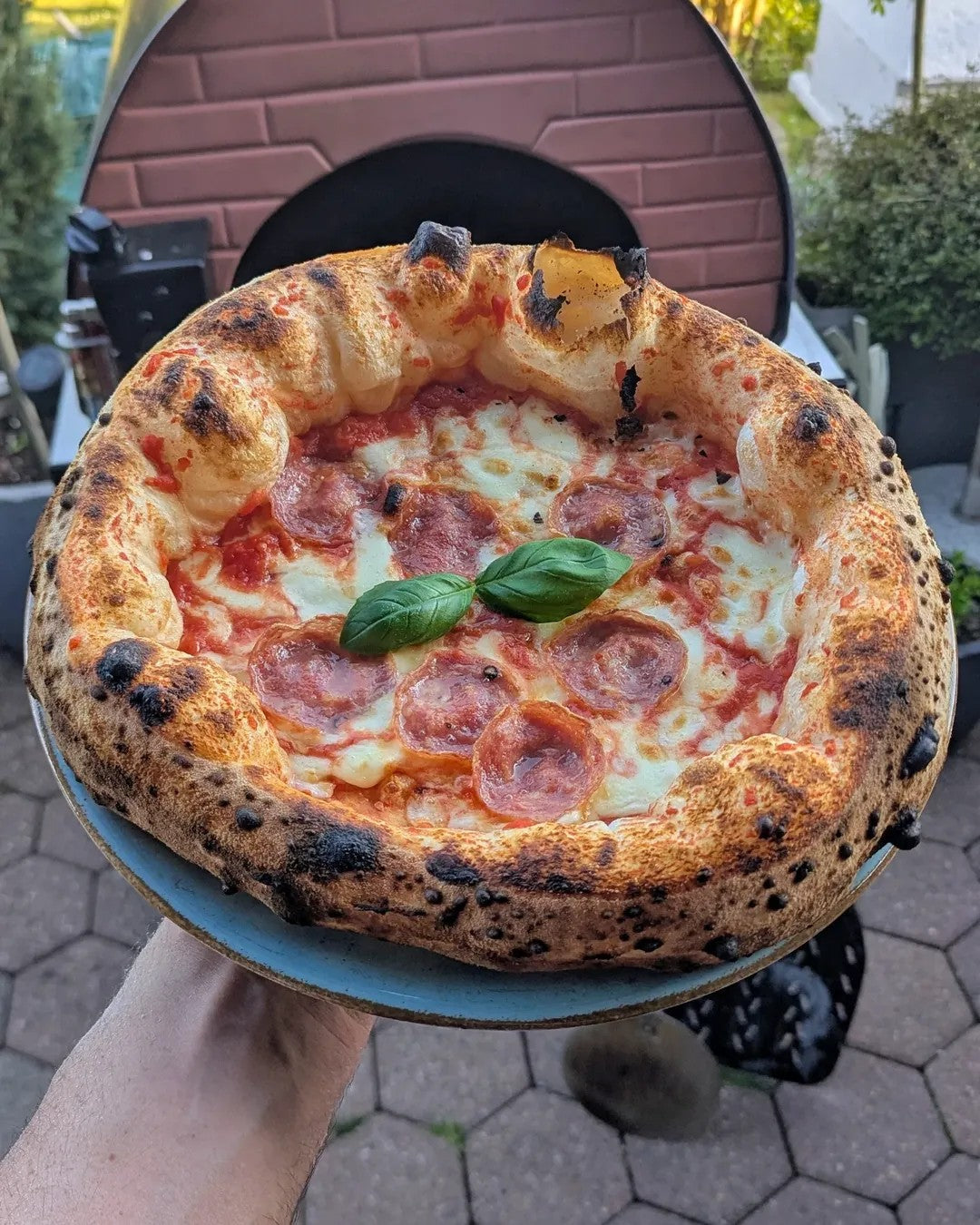 Horno de pizza exterior gas y leña Bollore 60x60cm híbrido