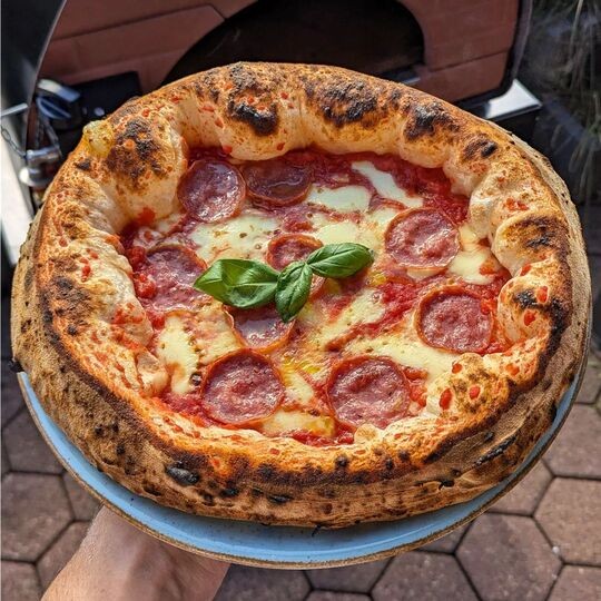 Horno de pizza exterior gas y leña Bollore 60x60cm híbrido