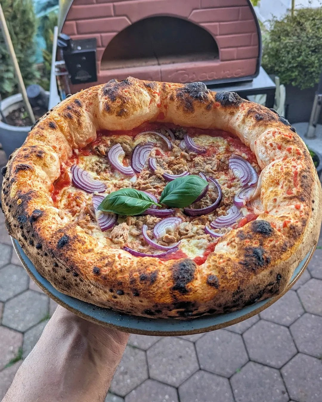 Horno de pizza exterior gas y leña Bollore 60x60cm híbrido
