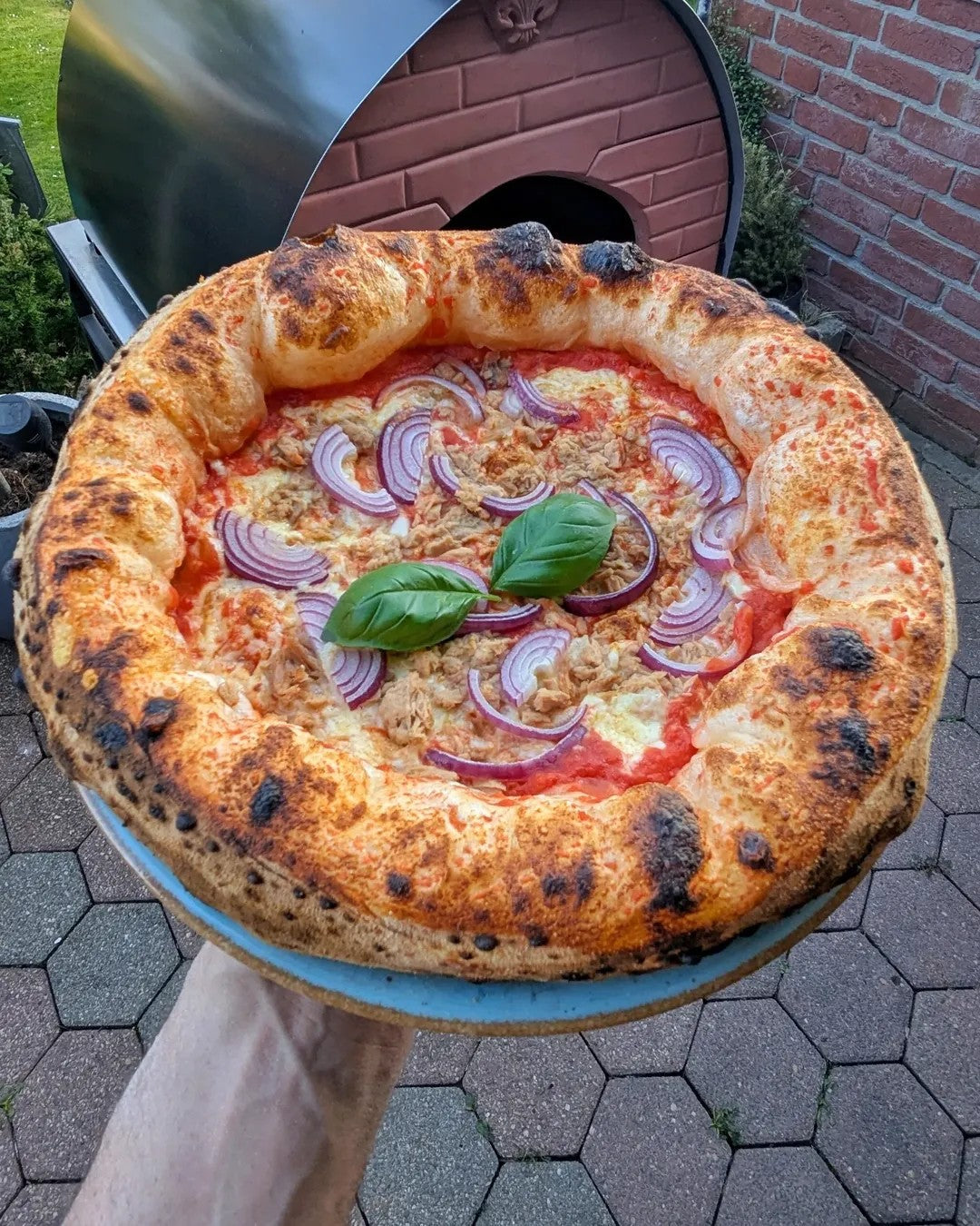 Horno de pizza exterior gas y leña Bollore 60x60cm híbrido